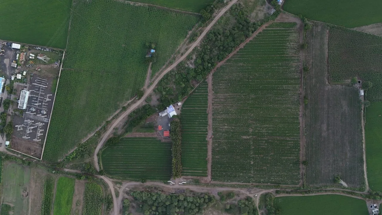 Expansive Fields — aerial view