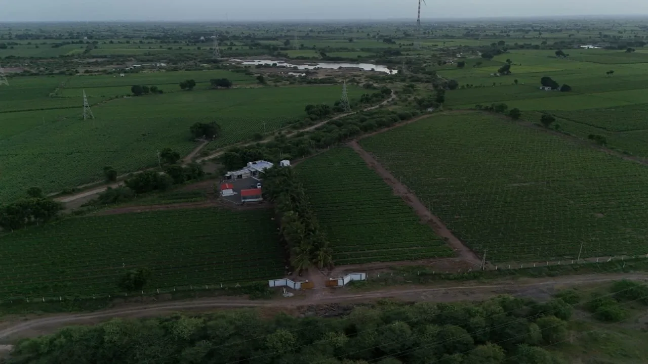 Green Fields — aerial view